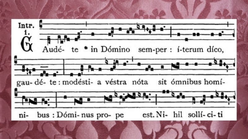 gaudete
