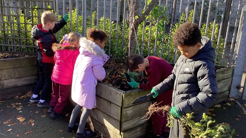Corpus Christi Planting Day 1