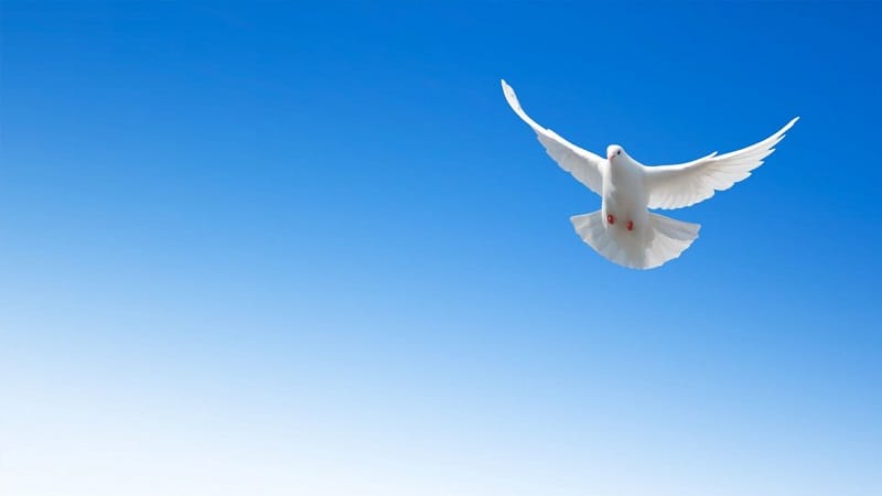 holy spirit blue sky