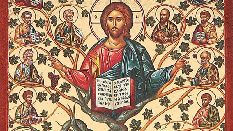 christ the vine