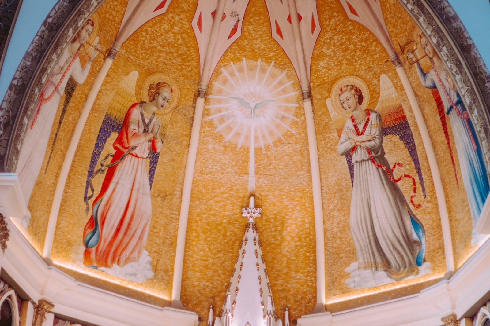 cathopic 1505256501533497 (1)