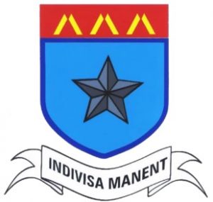 De La Salle College, Jersey logo