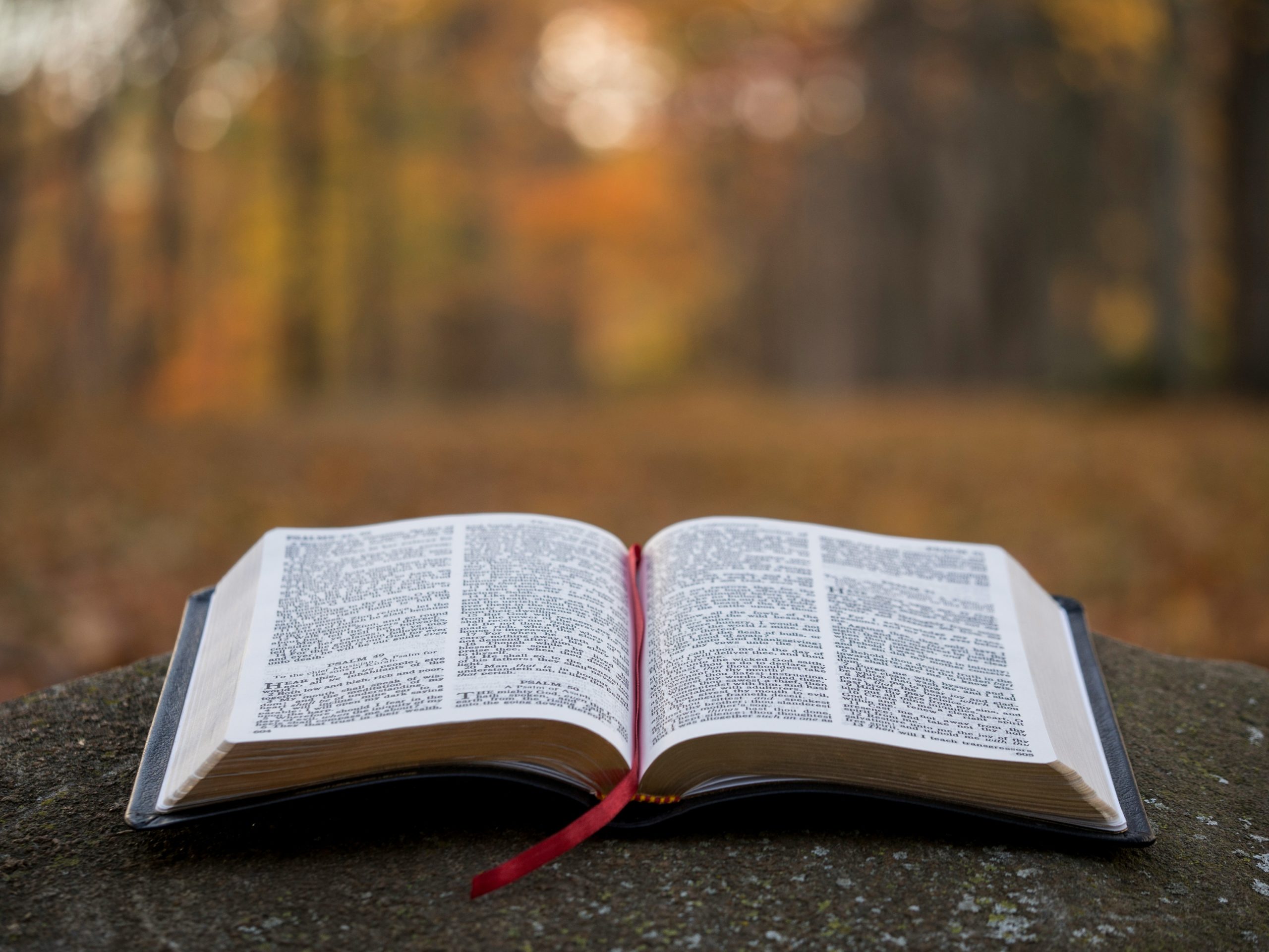 Bible open A picture of a Bible open